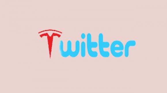 Twitter: the first positions taken after the move to Musk, freedom of speech, user flight