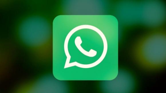 WhatsApp: news for group calls and privacy management