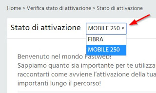 Fastweb activation selector