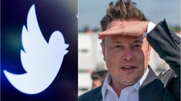 Twitter: new developments on Musk's attempt to climb, various rumors