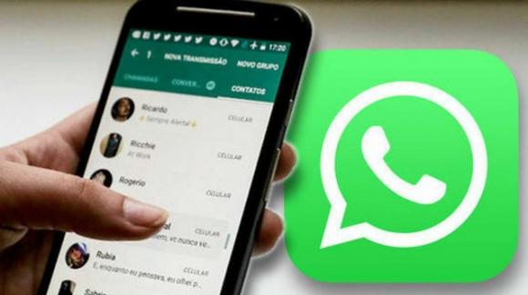 WhatsApp: news for group surveys, Rapid Reactions in development