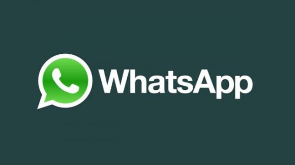 WhatsApp: news for group surveys, multi-device accounts and in-app payments