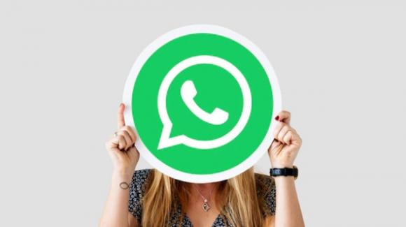 WhatsApp: many discoveries in the latest beta for Android and iOS