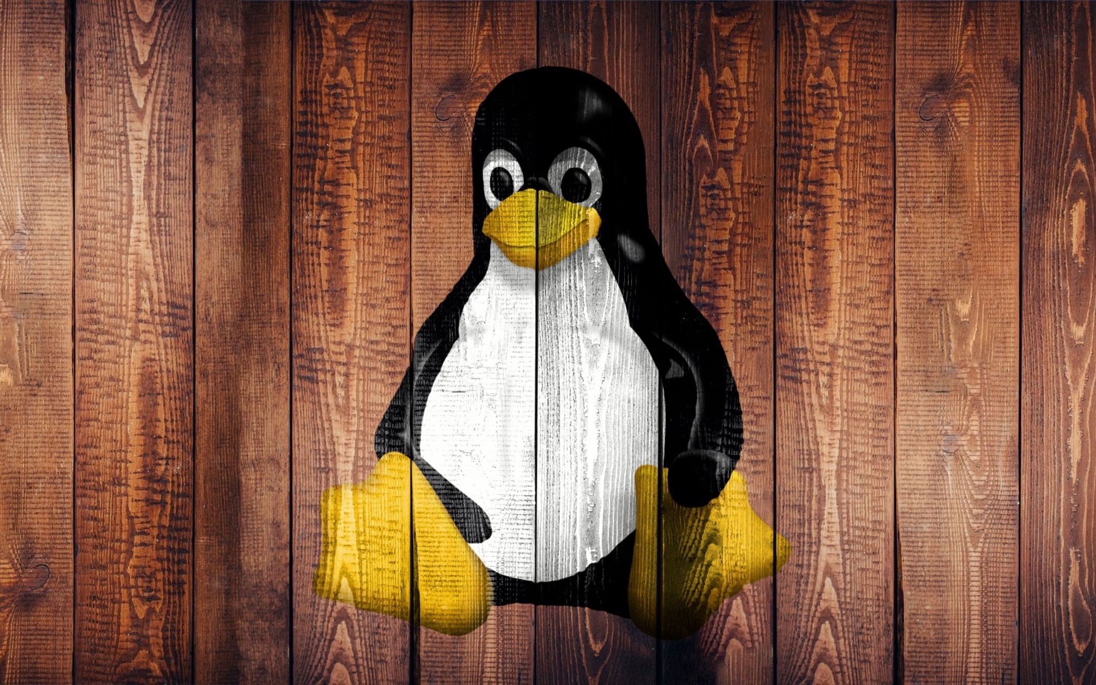Linux grows: 3% of the entire desktop market belongs to the penguin