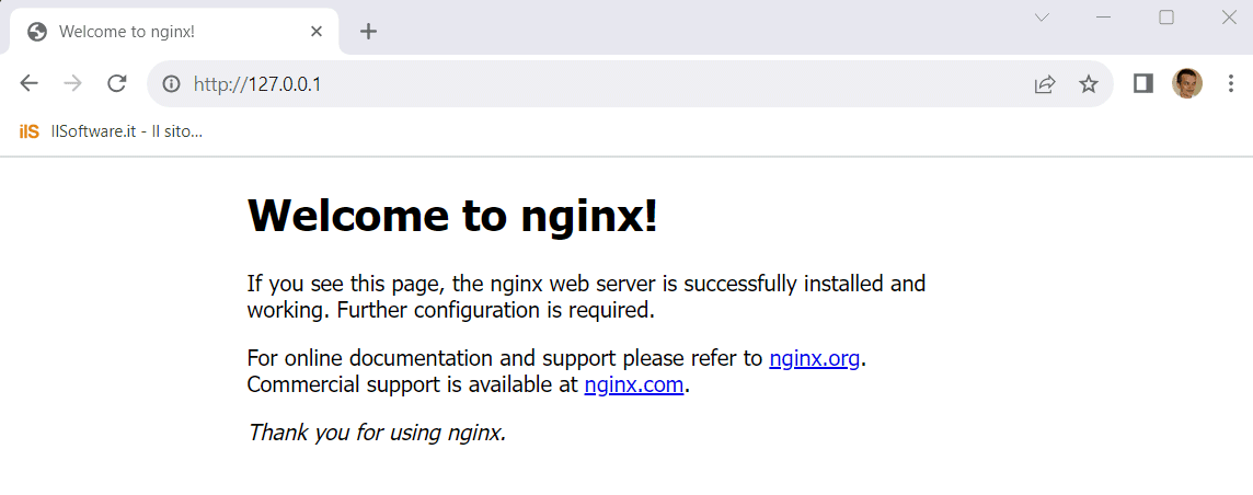 Access to Nginx from local network with WSL