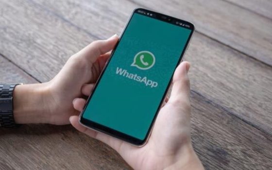 WhatsApp, Meta brings the blue check to the messaging app
