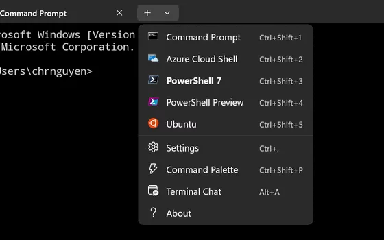 Terminal Chat: A chatbot similar to ChatGPT in the Windows 11 terminal window