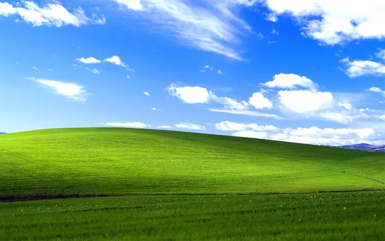 Windows XP wallpaper: history and how to download it for free from Microsoft