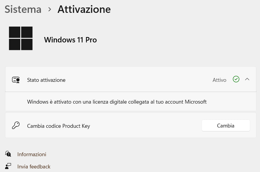 Windows 11 activation status
