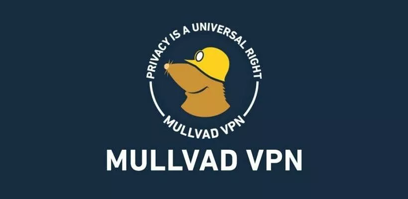 VPN at risk DNS leak on Android, according to Mullvad
